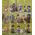 LEGO - Minifigures - Serie 27 - 71048 - CASSA SIGILLATA - 36 Personaggi - PREORDINE 01/01/2025